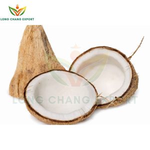 dừa khô lột vỏ long chang ex