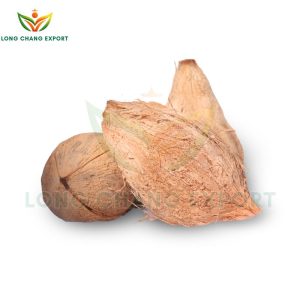 dừa khô lột vỏ long chang export
