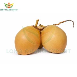 dừa xiêm đỏ long chang