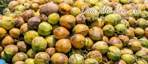 dừa khô bến tre