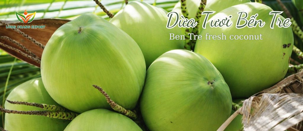 dừa xiêm xanh tươi