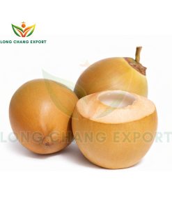 dừa xiêm đỏ long chang vn