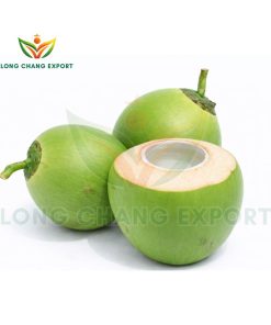 dừa xiêm xanh long chang vn