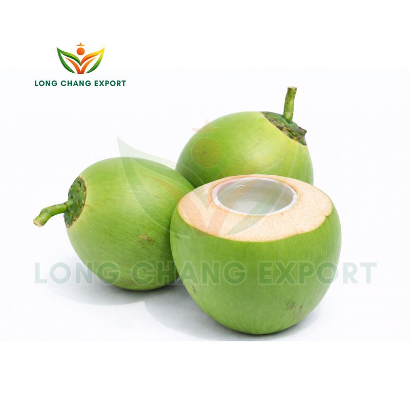 dừa xiêm xanh long chang vn