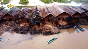 kho gỗ đước chờ làm than