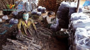 than đước thành phẩm đang được đóng túi